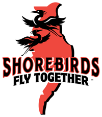 Fly Together Color Fly Together Color